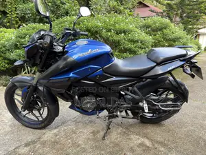 Bajaj Pulsar NS 160 2019 Blue