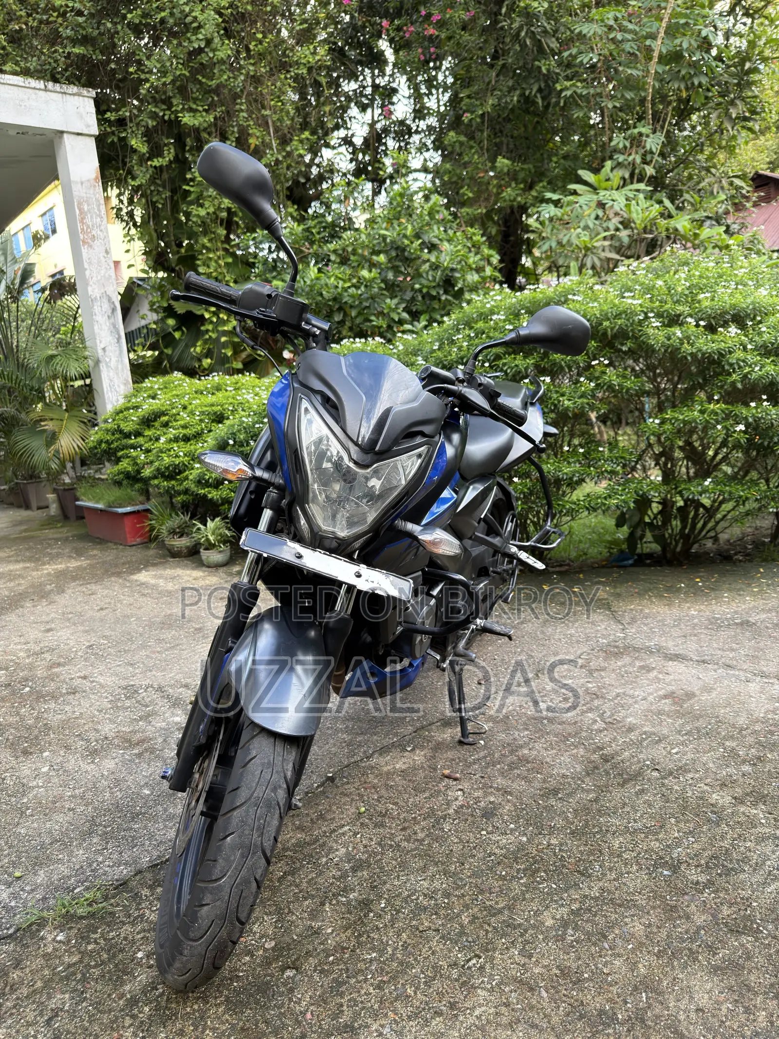 Bajaj Pulsar NS 160 2019 Blue