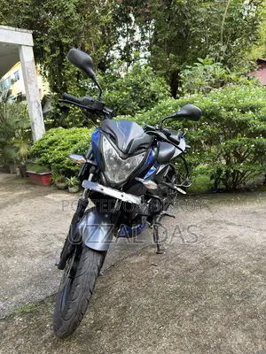 Bajaj Pulsar NS 160 2019 Blue