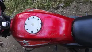 Bajaj Platina 110 2010 Red