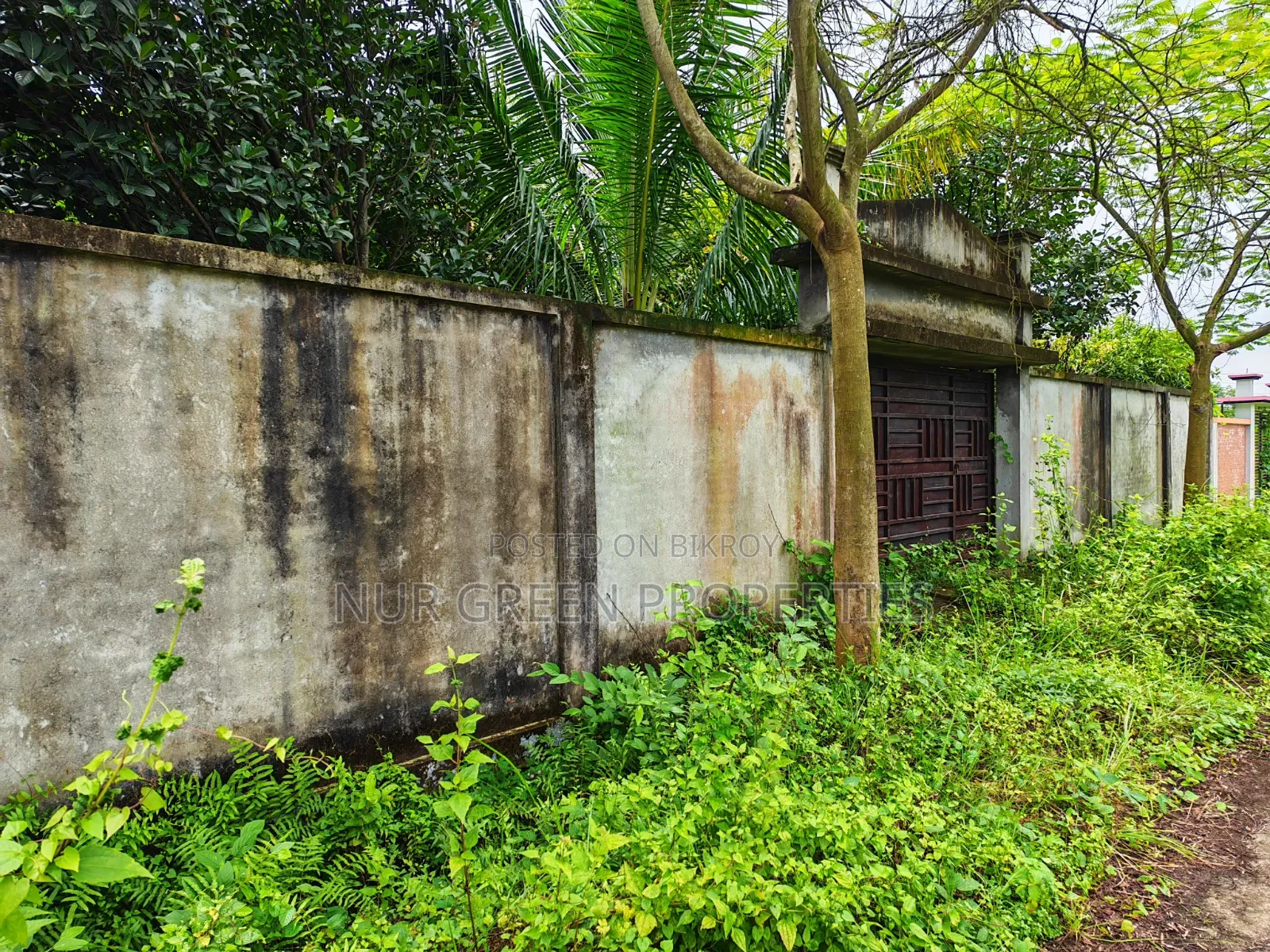 ৫ কাঠা দক্ষিণ পূর্ব কনার প্লট বিক্রি করা হবে
