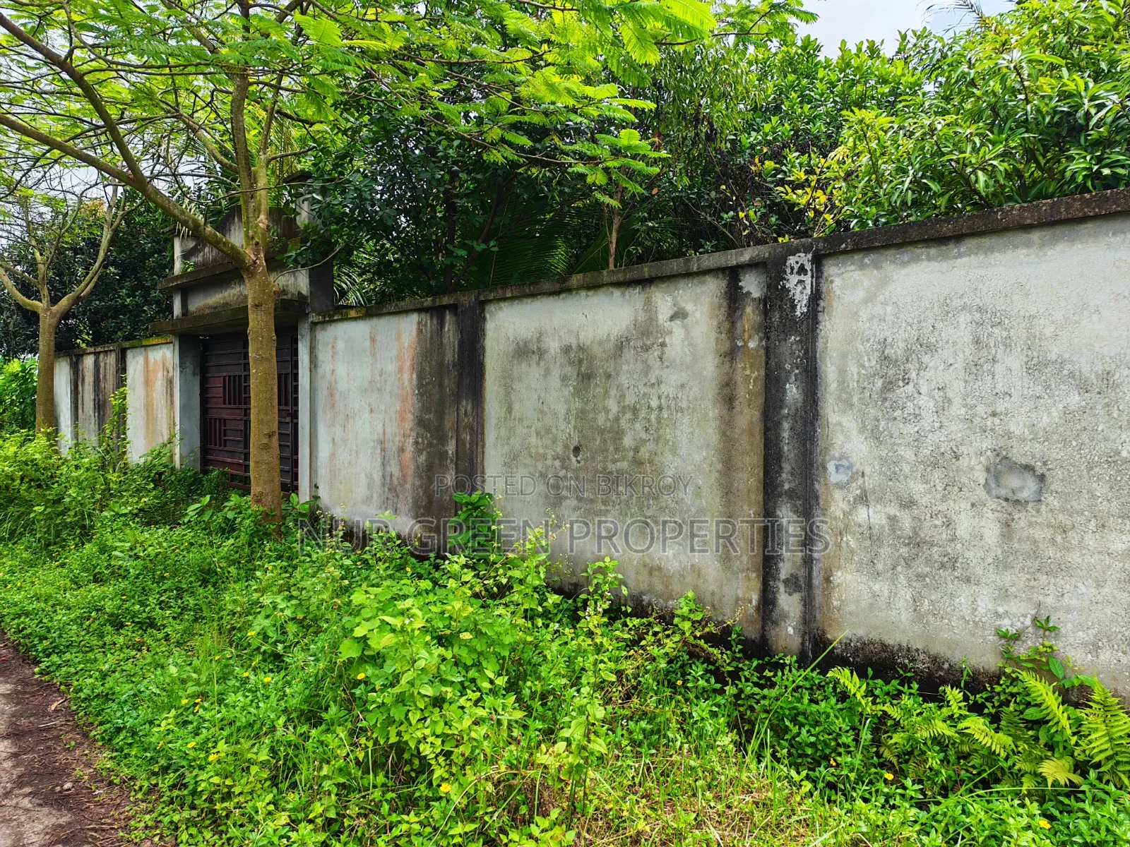 ৫ কাঠা দক্ষিণ পূর্ব কনার প্লট বিক্রি করা হবে