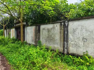 ৫ কাঠা দক্ষিণ পূর্ব কনার প্লট বিক্রি করা হবে