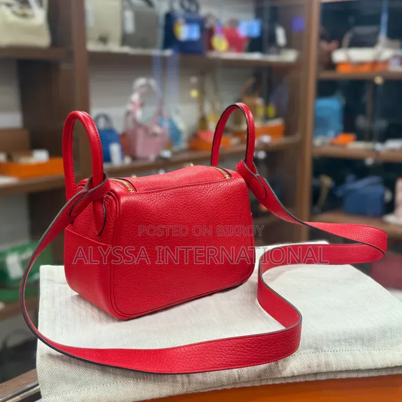 95% New Used Hermes Mini Lindy