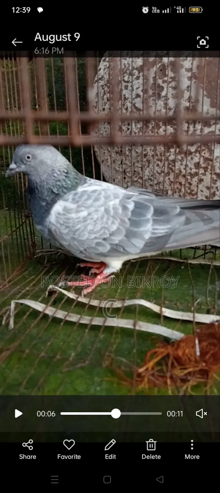সিলভার মাদি সেল হবে