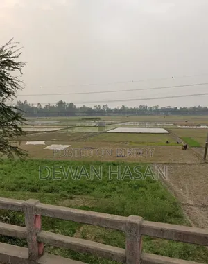 সাড়ে ১৮ শতাংশ বিক্রি হবে।
