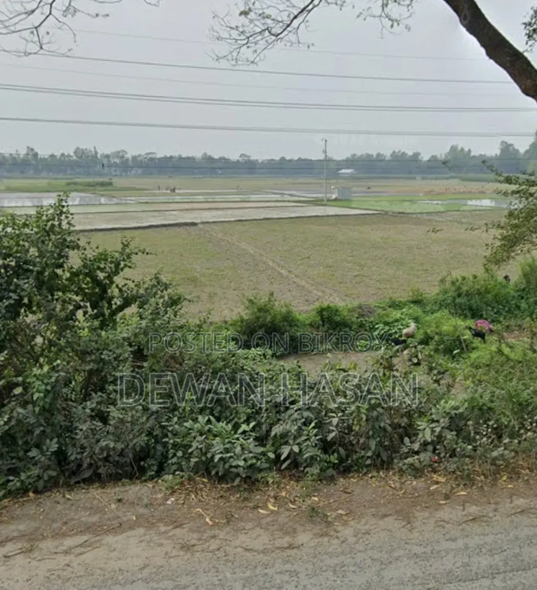 সাড়ে ১৮ শতাংশ বিক্রি হবে।