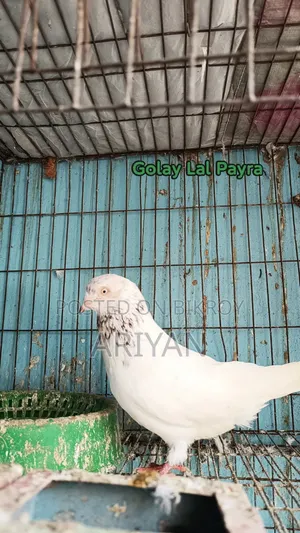 Emergency Sell