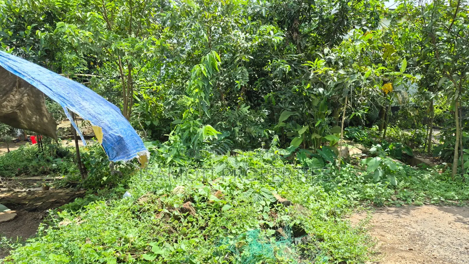 Good Location 3 Katha Plot for Sale Purbachal Sec 10