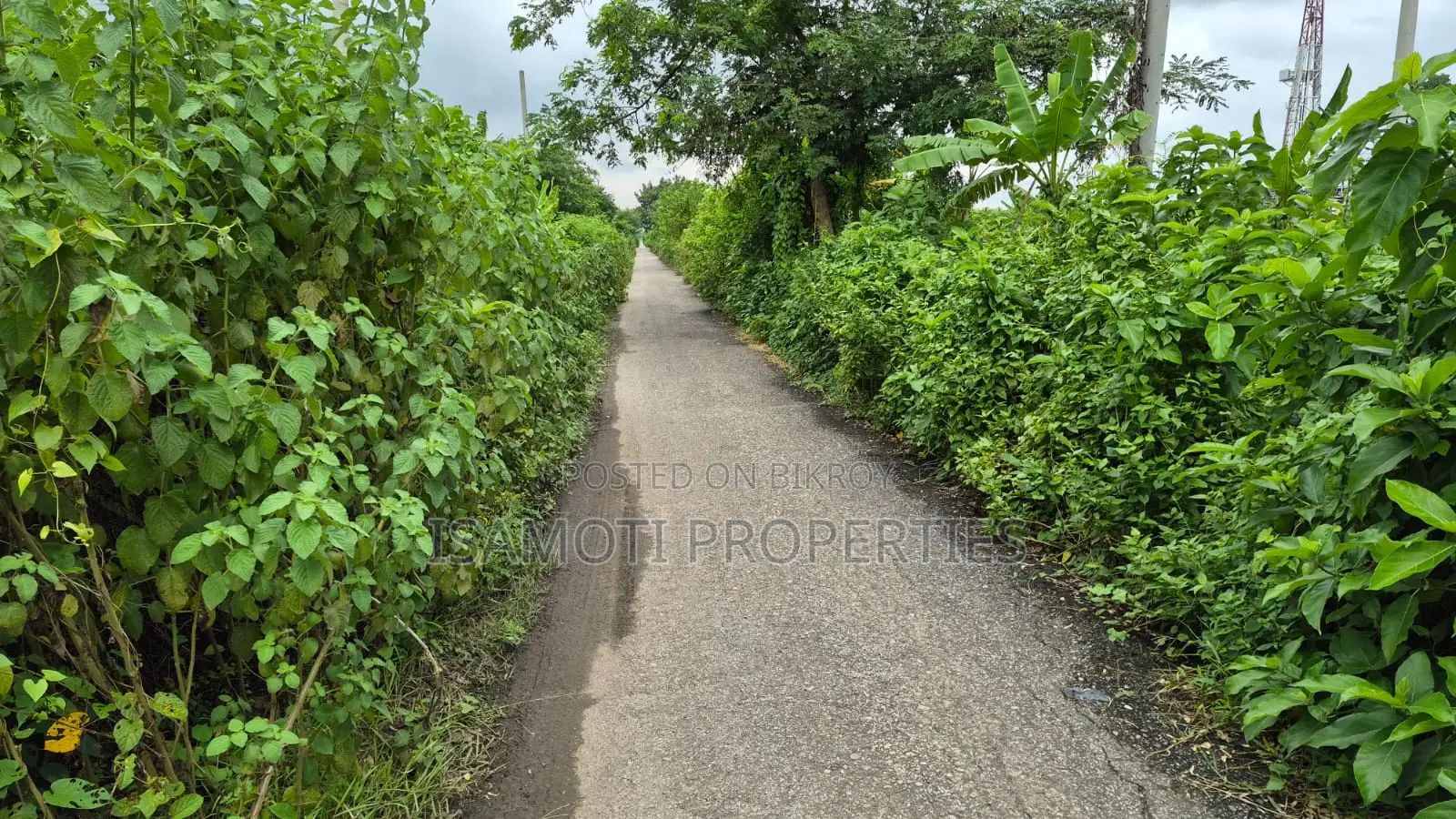 75 Feet Road South Face Purbachal Sec 20