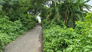 75 Feet Road South Face Purbachal Sec 20