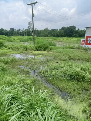 হাইওয়ের সংলগ্ন জমি বিক্রি হবে