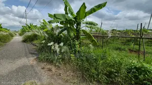 Diplomatic Zone 3 Katha Plot Sale Purbachal Sec 27