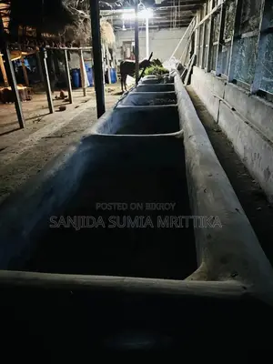 অভিজ্ঞ গরুর খামার পরিচর্যা কর্মী