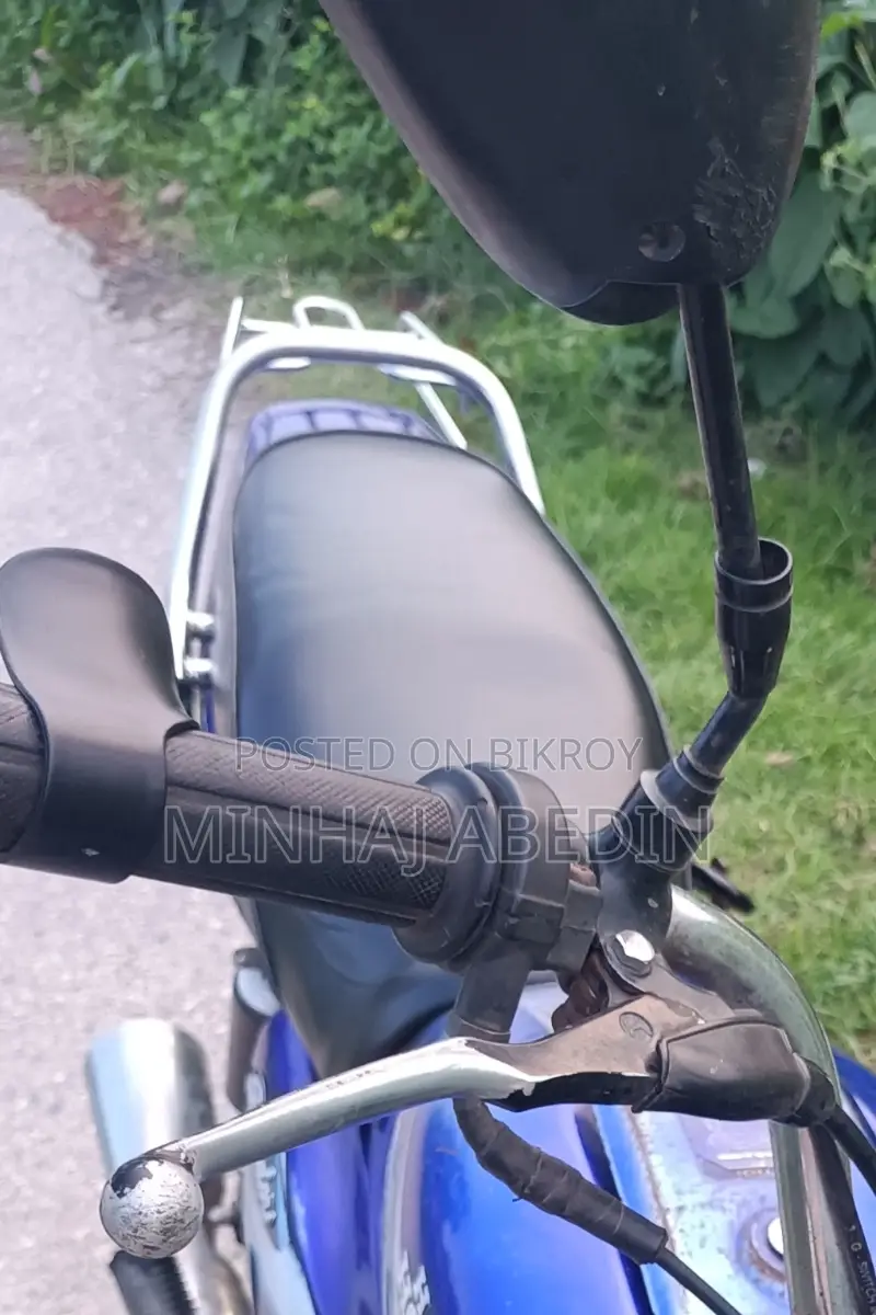 Hero Splendor Pro 2010 Blue