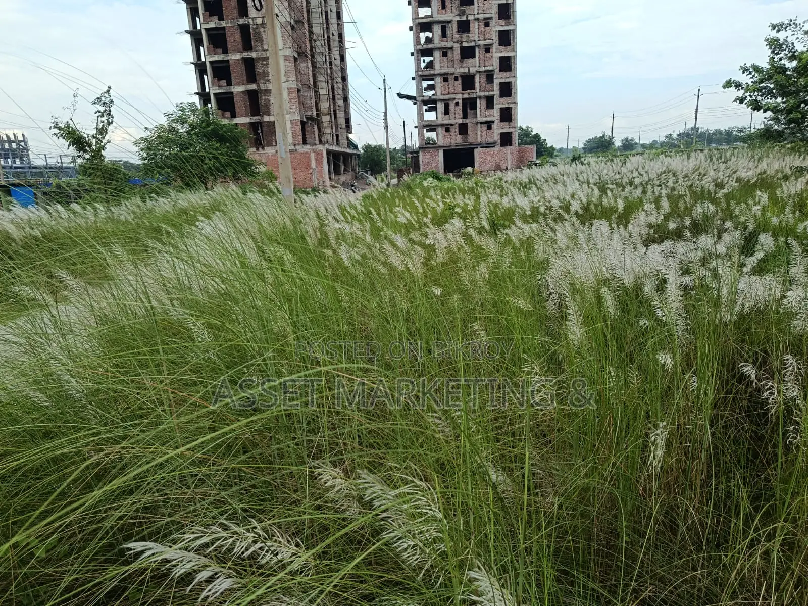 Land for Sale St Bashundhara R/A.