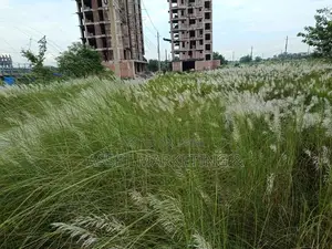 Land for Sale St Bashundhara R/A.