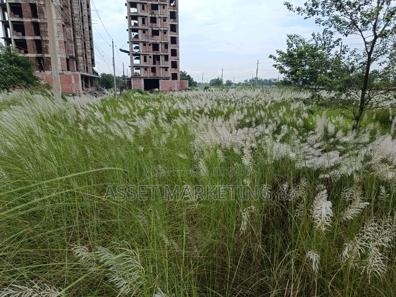 Land for Sale St Bashundhara R/A.