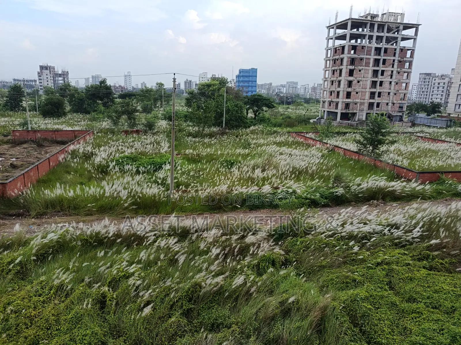 3-Katha Plot for Sale – Bashundhara L Block