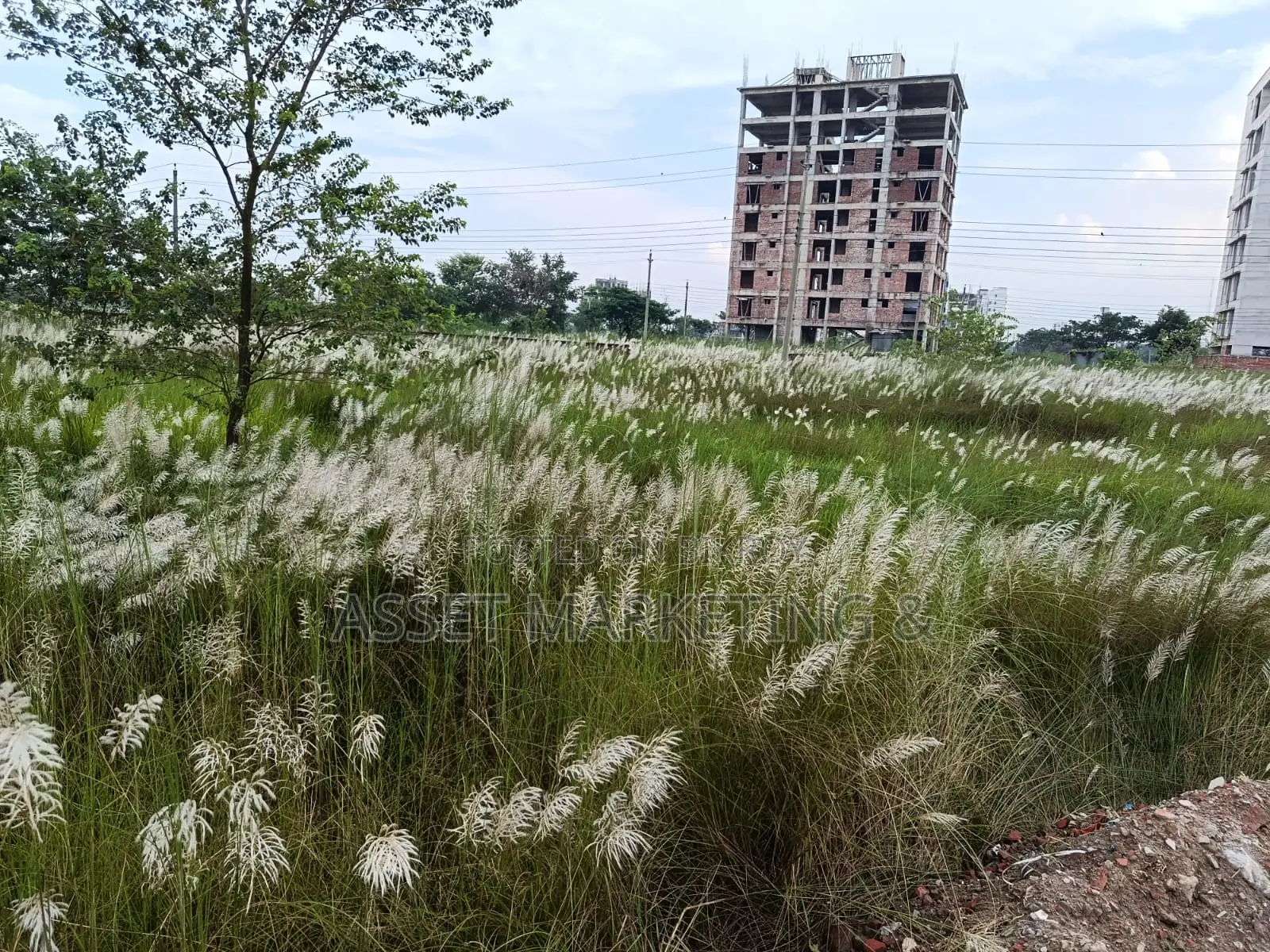 3-Katha Plot for Sale – Bashundhara L Block