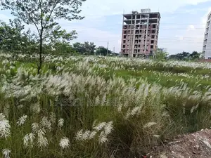 3-Katha Plot for Sale – Bashundhara L Block