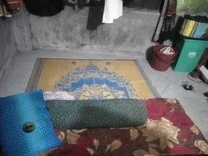 Mini Flat in Mirpur for rent