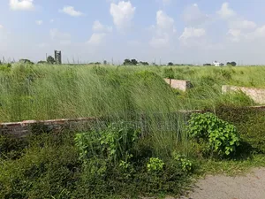 ব্লক-এম, উত্তরমুখী ৫ কাঠা প্লট বিক্রয়