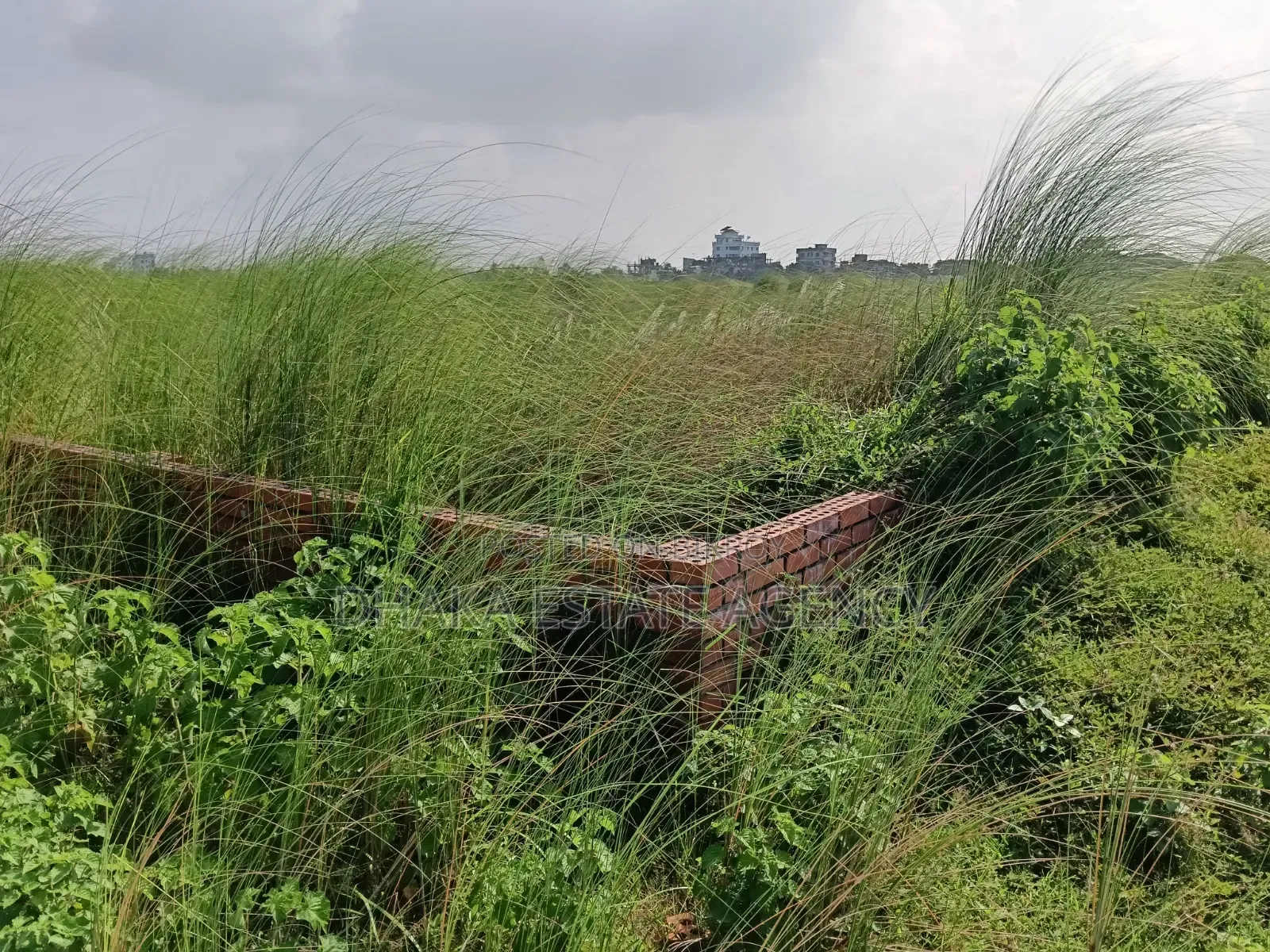 Bashundhara Block-L, South Face 5 Katha Plot Sale