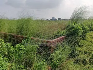 Bashundhara Block-L, South Face 5 Katha Plot Sale