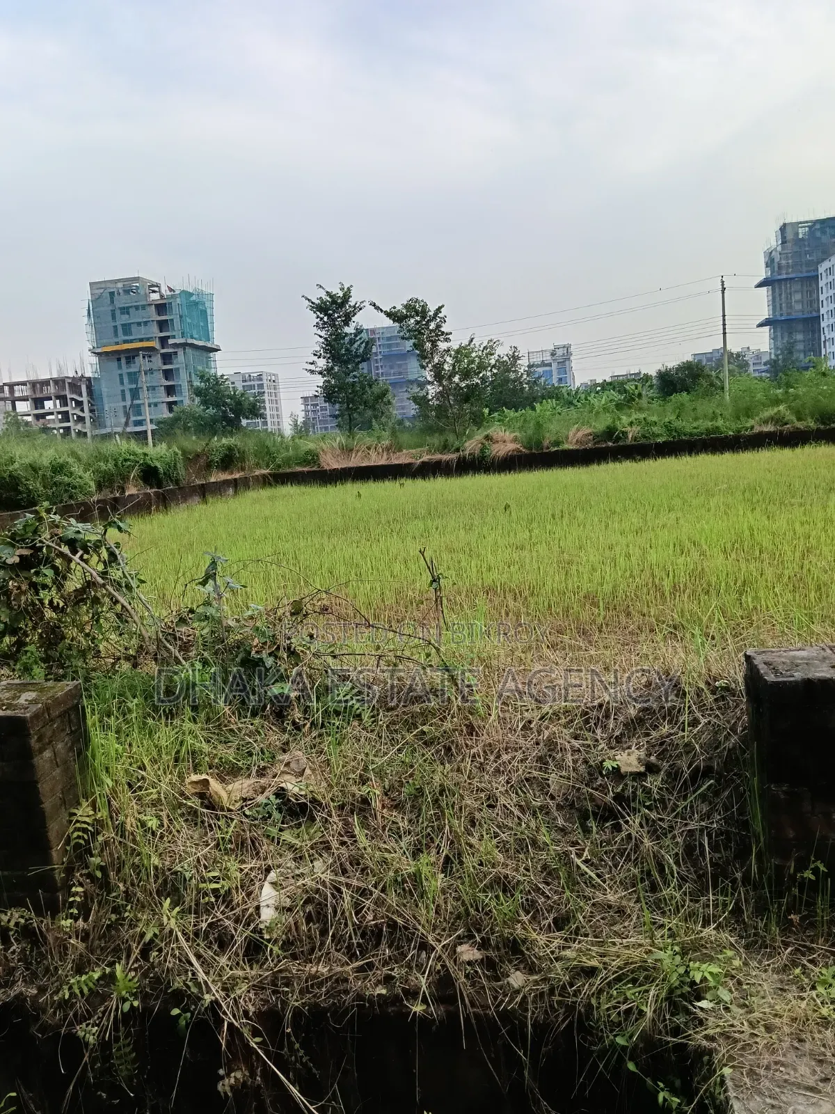 Bashundhara Block-N, South Face 5 Katha Plot Sale