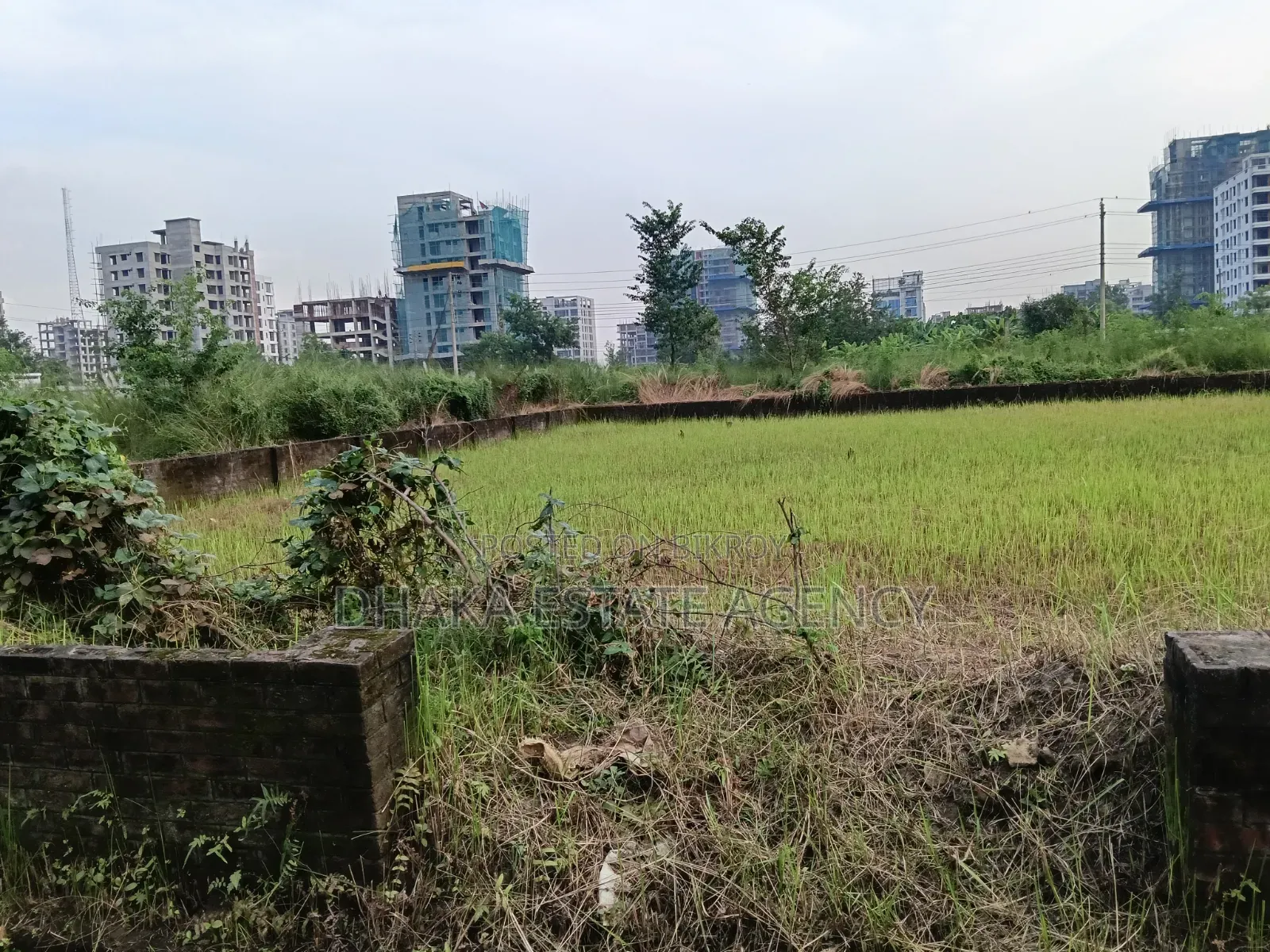 Bashundhara Block-N, South Face 5 Katha Plot Sale