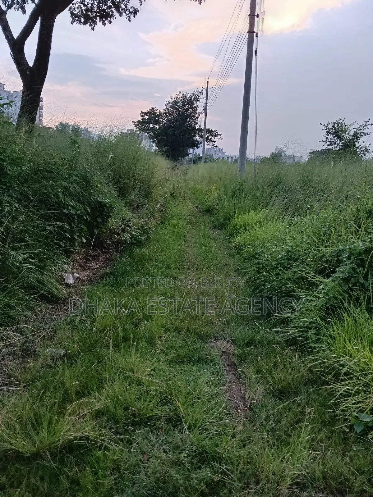 Block-N, 3 Katha South Face Plot Sale