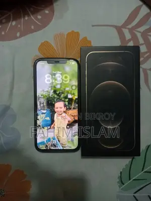 Apple iPhone 12 Pro Max 256 GB Gold