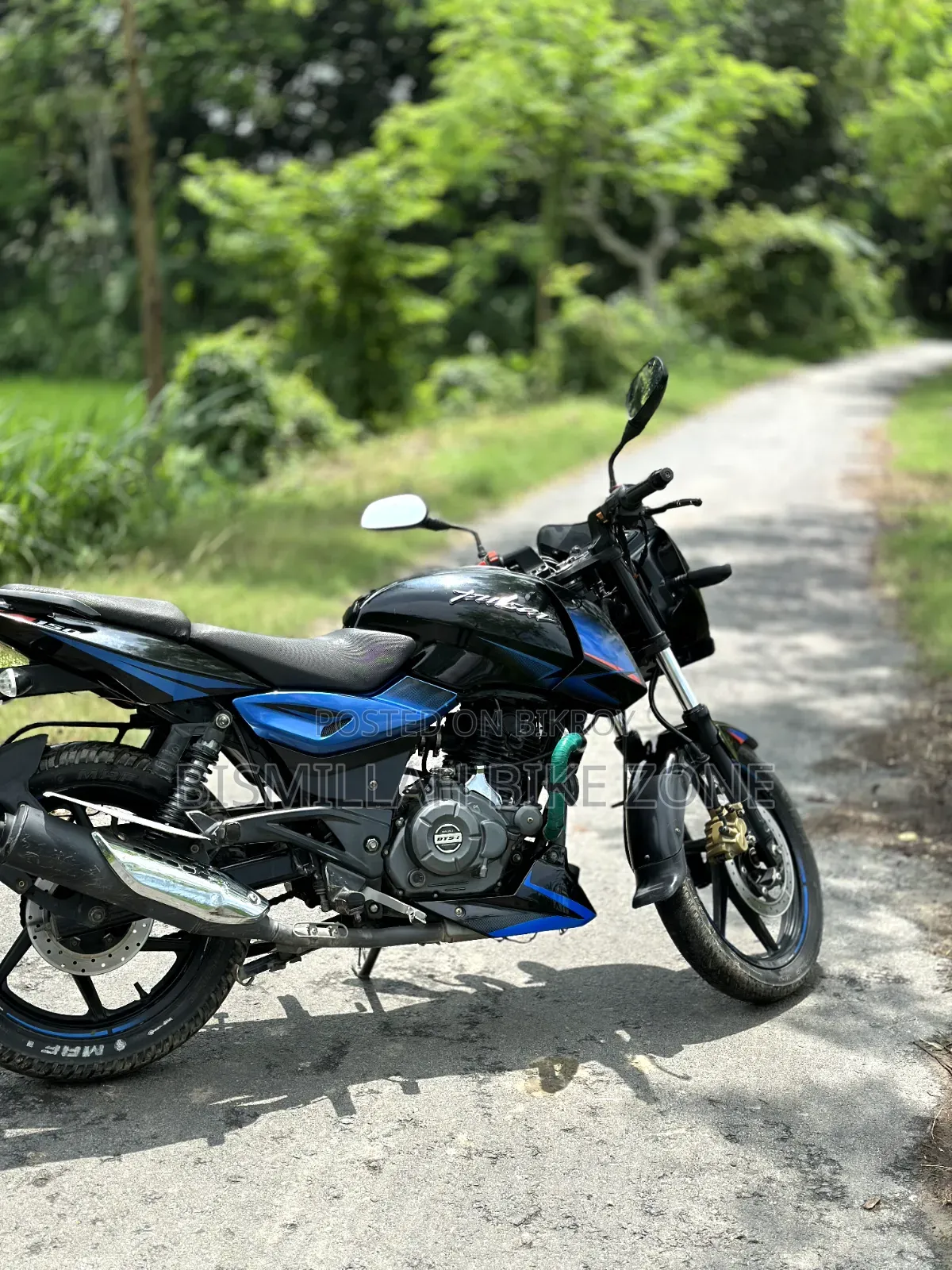 Bajaj Pulsar 150 2019 Blue