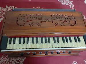 Musical Instrument