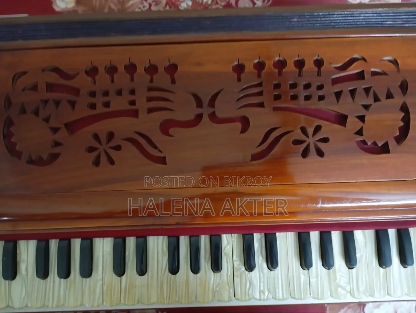 Musical Instrument