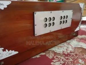 Musical Instrument