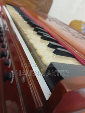 Musical Instrument