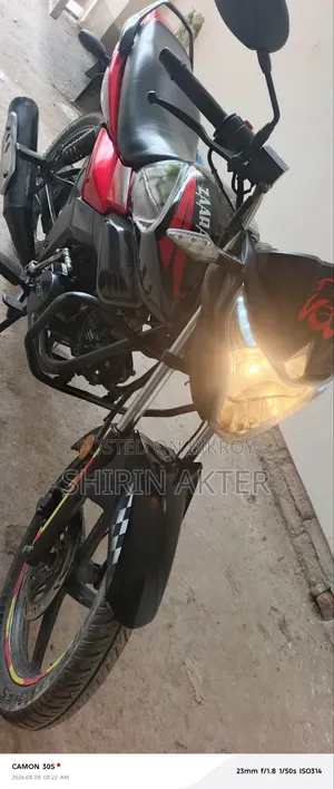 Beetle Bolt Corbet 2018 Black