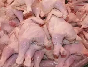 Chicken(বিড়ালের জন্য) for Cat