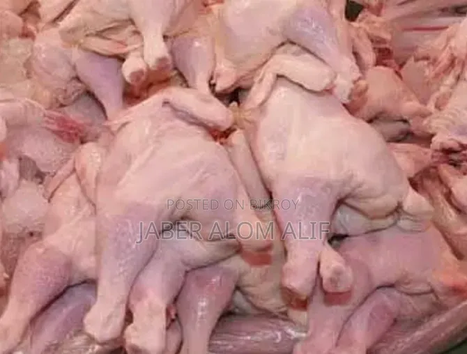 Chicken(বিড়ালের জন্য) for Cat