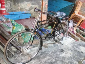 বড় সাইজের সাইকেল