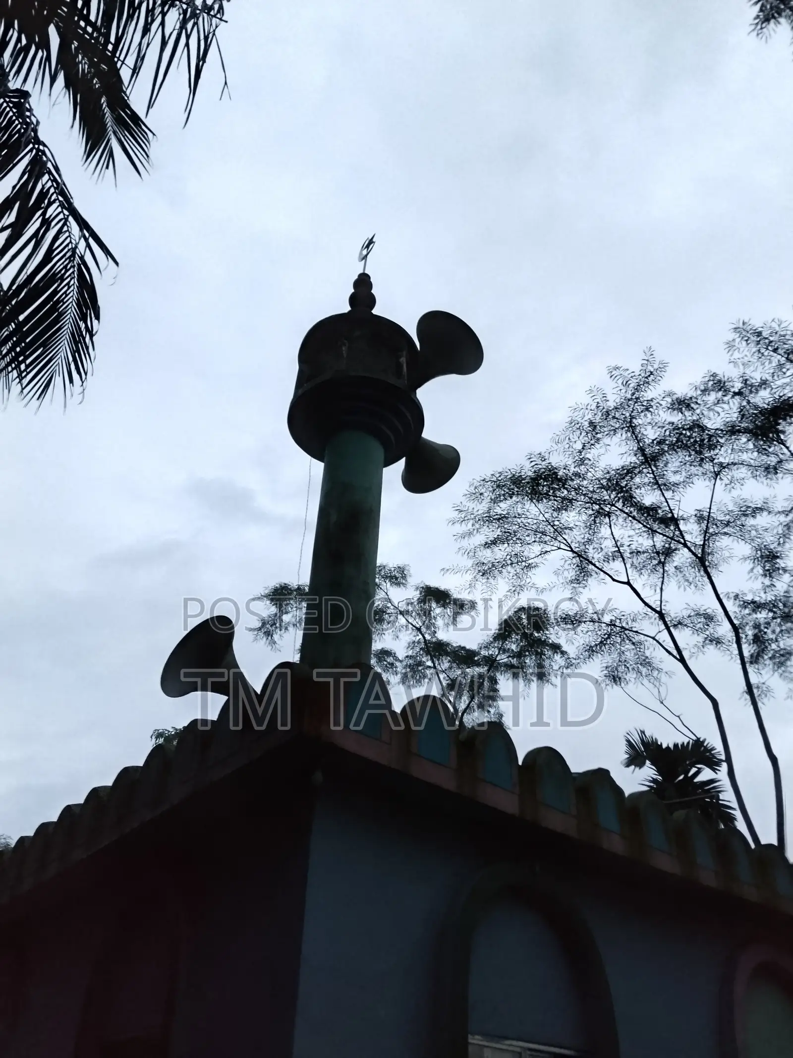 আরবী পড়াতে চাই।
