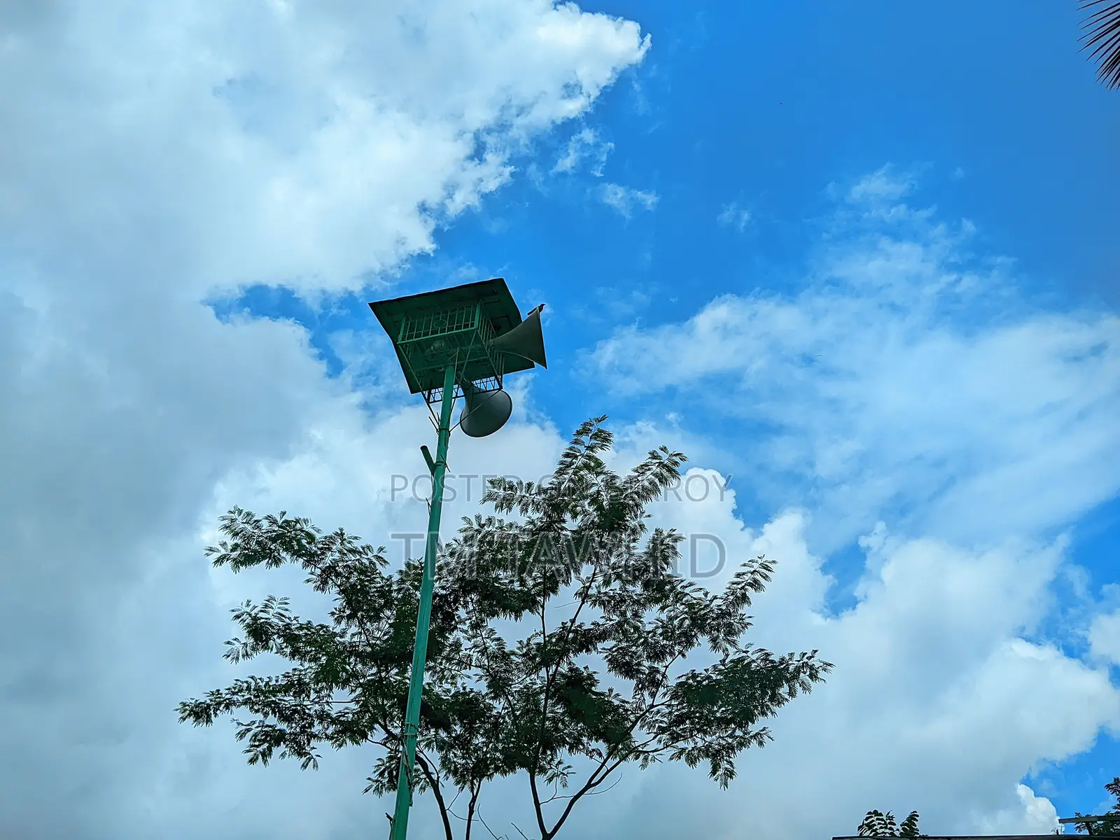 আরবী পড়াতে চাই।