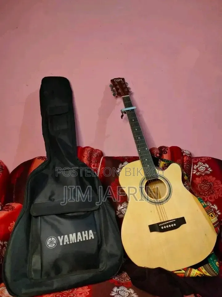 TGM T -400c Guitar Emergency Sale