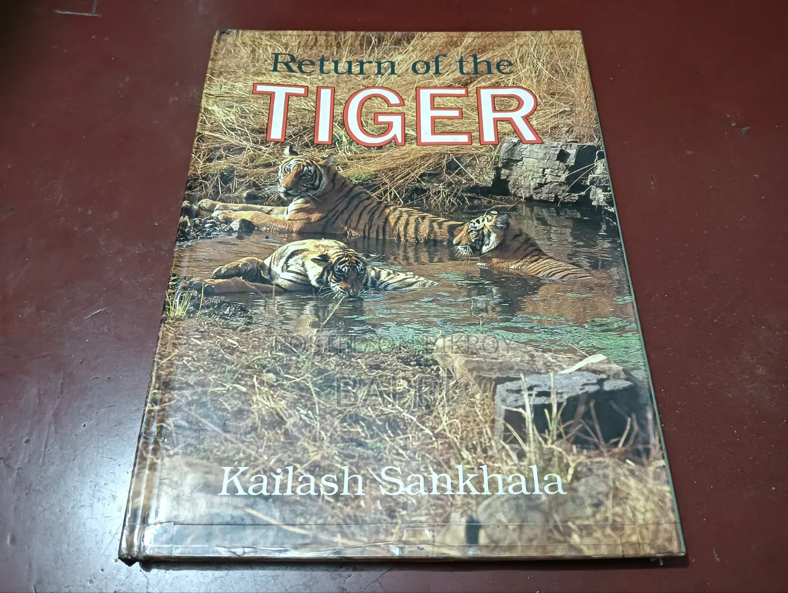 Used Illustrated Book on Tiger for Sale
