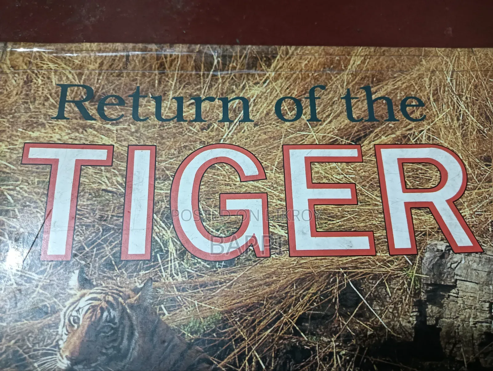 Used Illustrated Book on Tiger for Sale