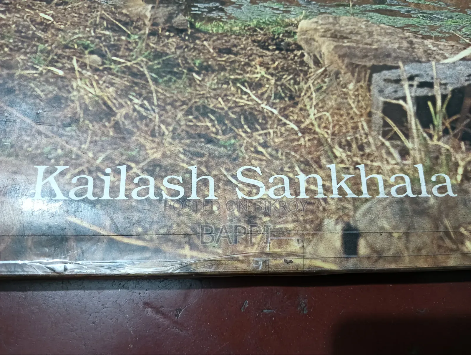 Used Illustrated Book on Tiger for Sale