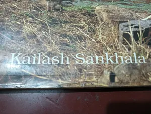 Used Illustrated Book on Tiger for Sale