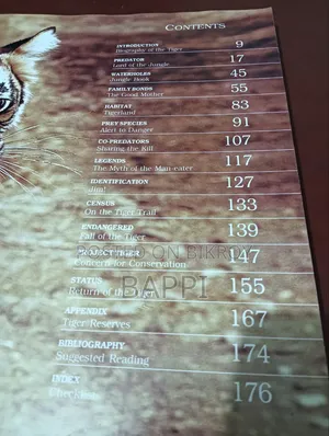 Used Illustrated Book on Tiger for Sale
